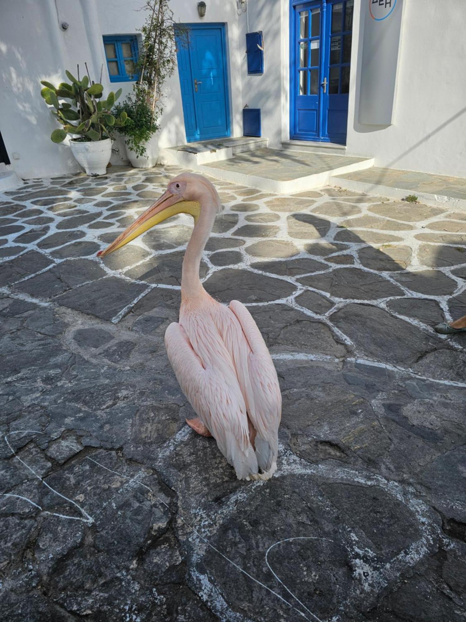 Mykonos TownLalalandアパートメント エクステリア 写真